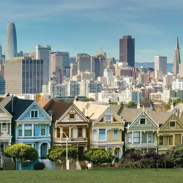 Les pique-niqueurs sont assis sur l'herbe du parc Alamo Square, 背景是彩绘女郎和贝博体彩app的屋顶.